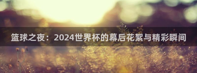 世界杯2026赛程:篮球之夜:2024世界杯的幕后花絮与精彩瞬间