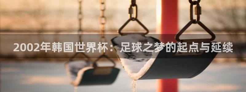 世界杯决赛预测:2002年韩国世界杯:足球之梦的起点与延续