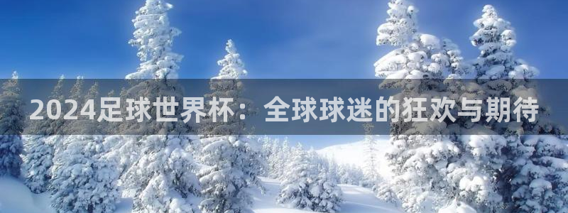 世界杯:2024足球世界杯:全球球迷的狂欢与期待