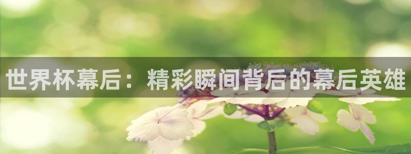2026世界杯亚洲预选赛赛程:世界杯幕后:精彩瞬间背后的幕后英雄