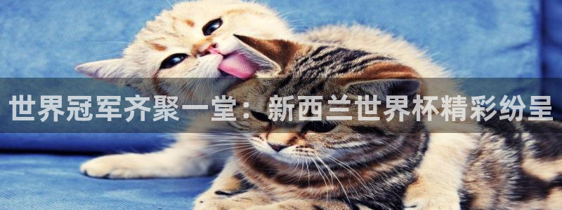 世界杯:世界冠军齐聚一堂:新西兰世界杯精彩纷呈