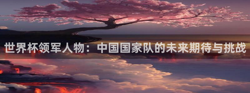 世界杯2026比赛时间表:世界杯领军人物:中国国家队的未来期待与挑战